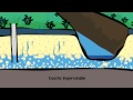 Groundwater and Water Cycle Concepts