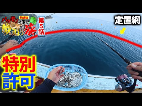 定置網の下が高級魚の巣窟だった‼