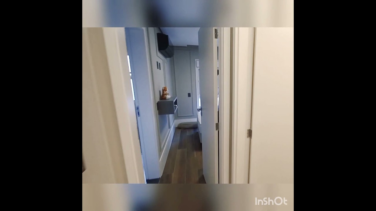 Apresentação