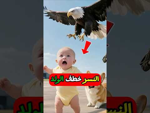 النسر خطف ابني.. لكن الكلب لم يخذلني! 🤯
