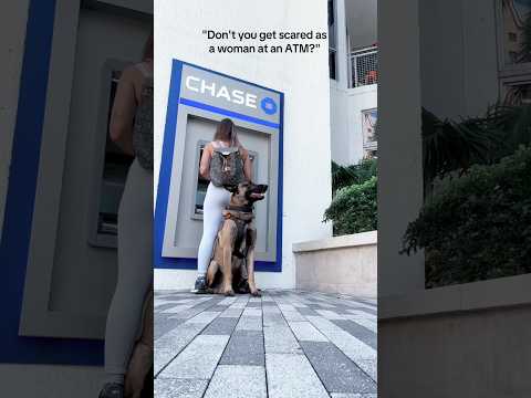 A Brave Dog Never Leaving Its Owner in Danger #dog #doggybestfriend #guard