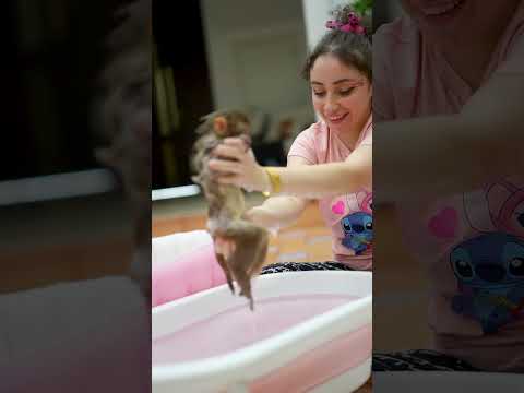 مين ماشاف لسى فلوق روتيني الصباحي مع لحيوانات 🤔
