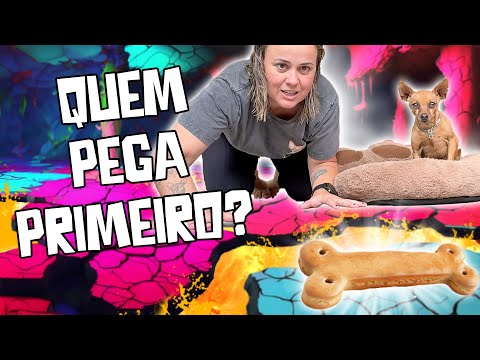 VLOGÃO: Um Dia Cheio de Surpresas com as Melhores Companhias (MEUS CÃES)