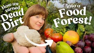 We Grew Food in the Worst Soil (Here’s What Actually Worked)