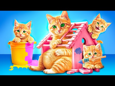 Kami Menyelamatkan Kucing Hamil! Kami Membangun Ruang Rahasia untuk Anak Kucing!