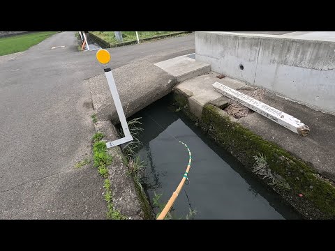 道路下の暗がりにルアーを流すと...