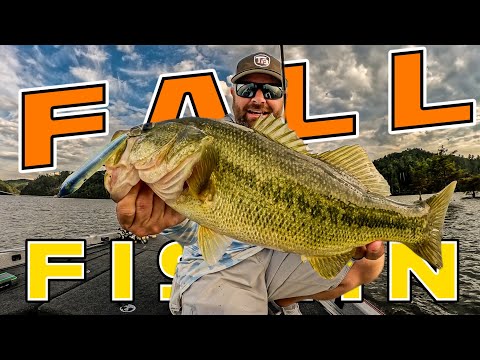 4 Techniques That Always Catch Bass In Fall!