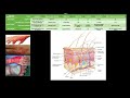 Burn Classification and Characteristics
