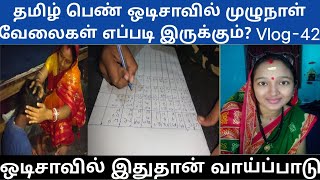 ஒடிசாவில் இதுதான் வாய்ப்பாடு  தமிழ் பெண் ஒடிசாவில் முழுநாள் வேலைகள் Vlog-42 #minivlog #villagelife 