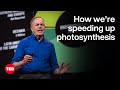 Photosynthesis and Crop Optimization