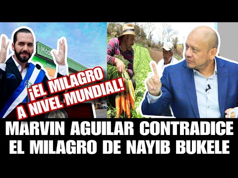 MARVIN A. CONTRADICE EL MILAGRO ECONÓMICO QUE NAYIB ANUNCIA DE LOS PRECIOS MAS BAJOS MUNDIALMENTE