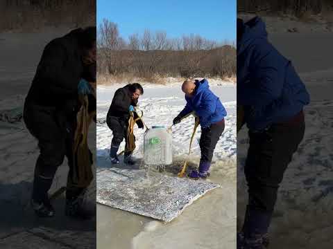 Fishing hunting video #1000subscriber #fishing #1millonveiws