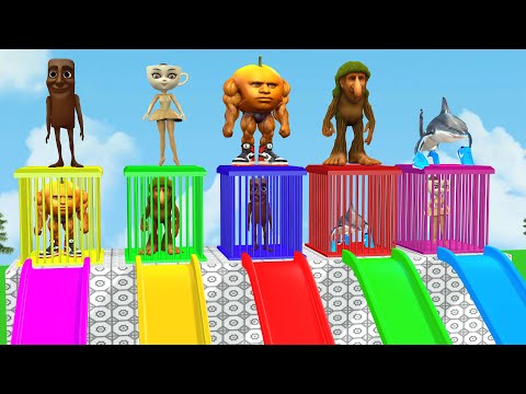 Long Slide Game With Cow Elephant Gorilla Hippopotamus Tiger 3d Animal Game Funny 3d Animals