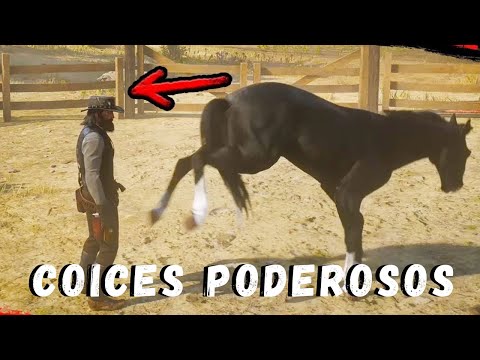97% DAS PESSOAS NÃO SABEM DISSO! COICES E MORDIDAS DOS CAVALOS! AS MAIS IMPRESSIONANTES DO MUNDO!