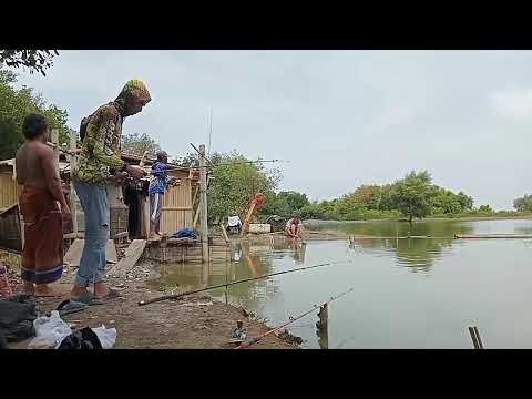 Dulur Mancing 88 LIVE #fishing