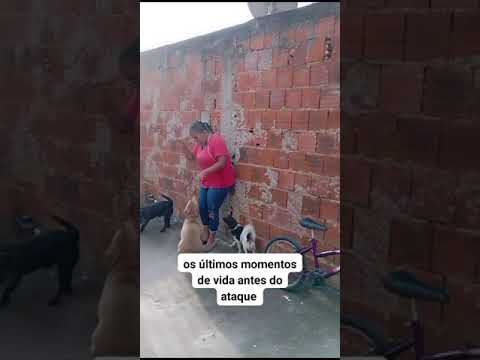 Notícias de um jeito diferente simulações