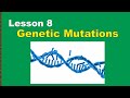 Understanding DNA Mutations and Effects