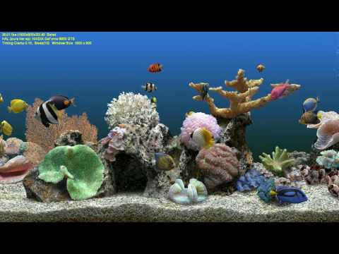 serene screen marine aquarium 3