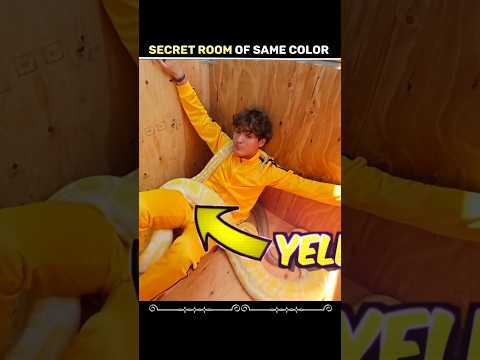 3 Secret Rooms That No One Can Find! 😱 | ₹2 Crore Challenge 🔥#shortvideo #shorts #stoketwins