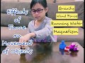 Forces and Magnetism Concepts