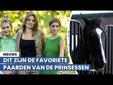 Stalmeester na Amalia-vraag: 'Wat bedoelt u?'