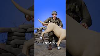 Why Soldiers Use Fake Dogs 😨