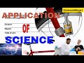 Understanding Magnets and Muscle Function