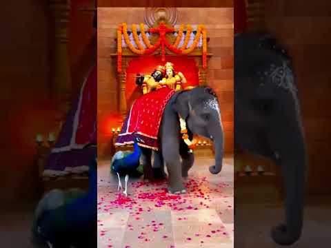 साथ-साथ झूमे हाथी और मोर 🐘🦚#ElephantDance#PeacockDance#MandirViral#TempleMiracle#BhaktiVibes#Indian