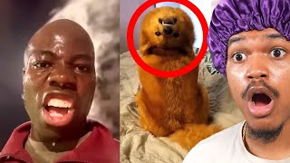 Incredible Moments Caught On Camera