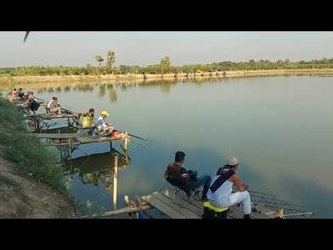 Big ticket fishing event in pond of rasel kobir