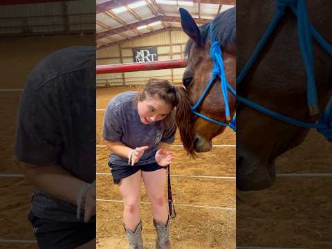 Beginner Vs Experienced Horse Owners! 🐴 #shorts #animals