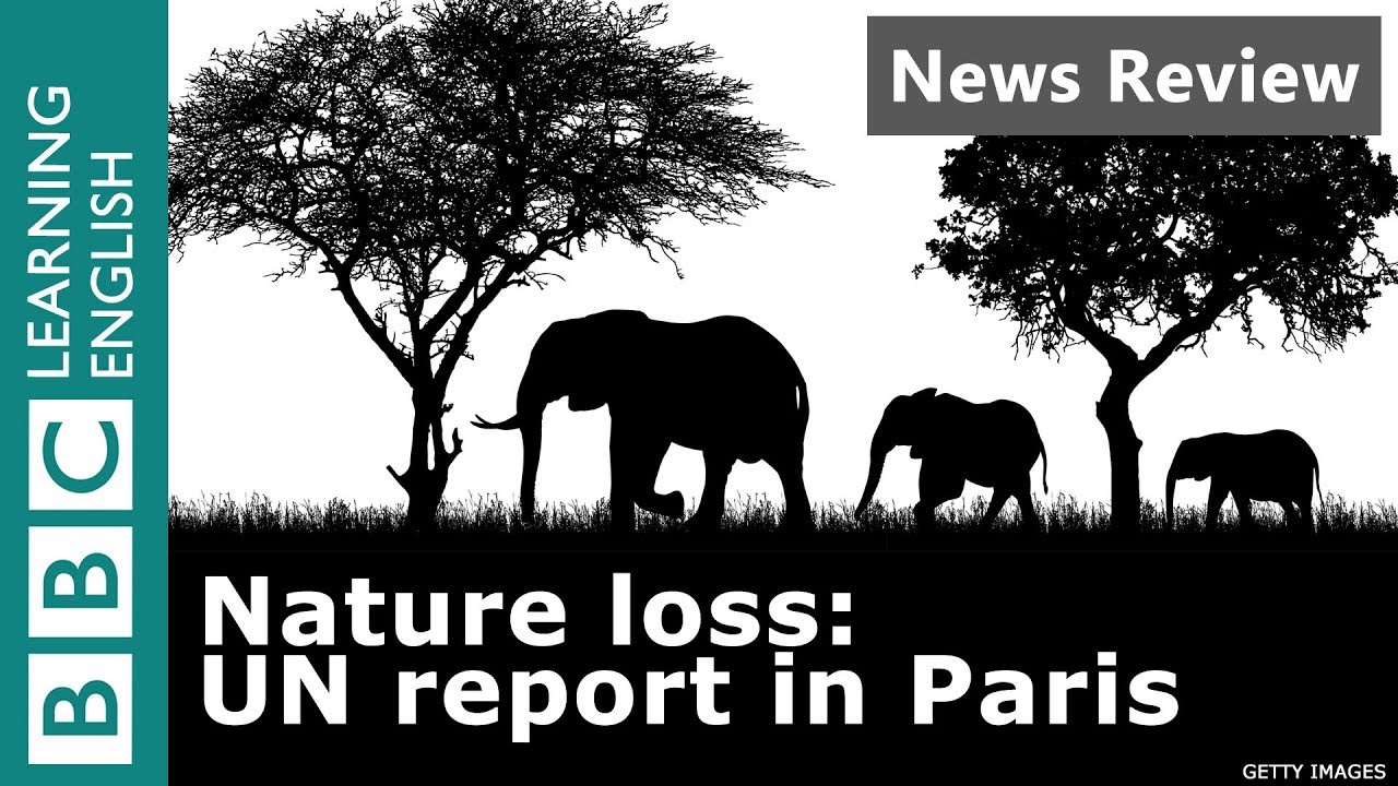 Nature Loss: UN Report in Paris - BBC News Review