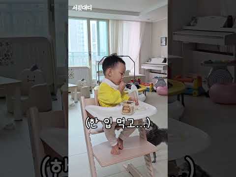 과자를 '딱 한 개만' 먹으라고 했을 때 강산이는 과연...