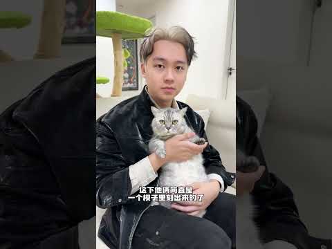 【#布丁仔和泡芙妹的一天】我家猫跟男朋友的亲密度比我还高? #有宠物的人周末快来北京大悦城#测一测你和宠物的亲密度 #京东1111又便宜又好