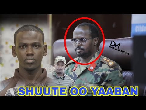 TOOS: Bumba Tuurihii Argagaxisada Alshabaab oo la hor geeye Gaashaanle Shuute