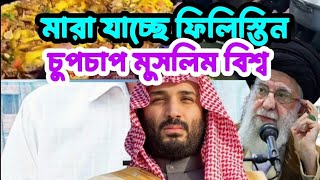 যুদ্ধের প্রস্তুতি নিচ্ছে মিশর সেনাবাহিনী