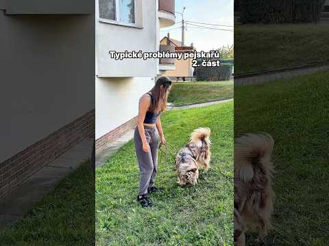 Typické problémy pejskařů😂| 2. část