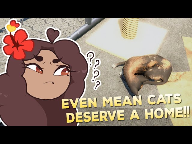 Even Our Destructive DOOM-CAT Deserves a Home!! ?? Animal Shelter Simulator • #6