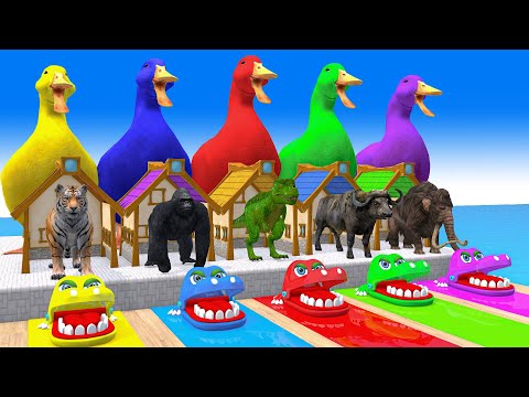 5 Giant Duck Cartoon,Cow,Mammoth,Elephant,Tiger, Paint Wild Animals Crossing Fountain Animation