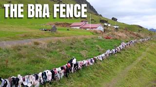 The Bra Fence In Iceland Explained 