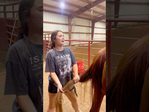 Beginner Vs Experienced Horse Owners! 🐴 #shorts #animals
