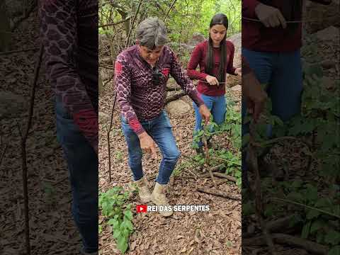 calçados fechados protege acidentes com serpentes