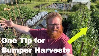 June Plot Tour: One Simple Tip for Huge Results!
