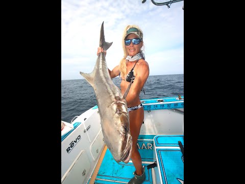 Florida Girl Fights Massive Cobia!