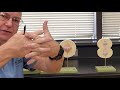 Mitosis Process and Video Preparation