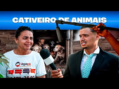 DENÚNCIA DE MAUS TRATOS AOS ANIMAIS - Nelsu sem pano