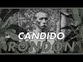 Theodore Roosevelt's Expedition with Cândido Rondon