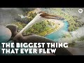 Quetzalcoatlus: The Giant Flying Reptile