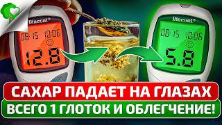 Сахарная ловушка: шаг, из-за которого диабет крепнет — и как вырваться