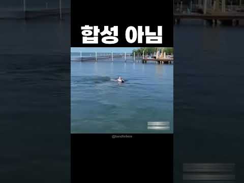 아바타2 현실판